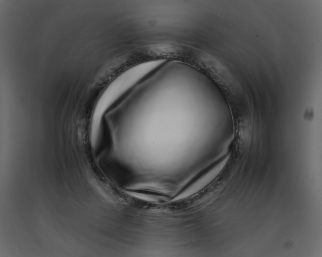 X0000092210408200710051141