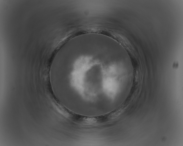 X0000092210409200710051141