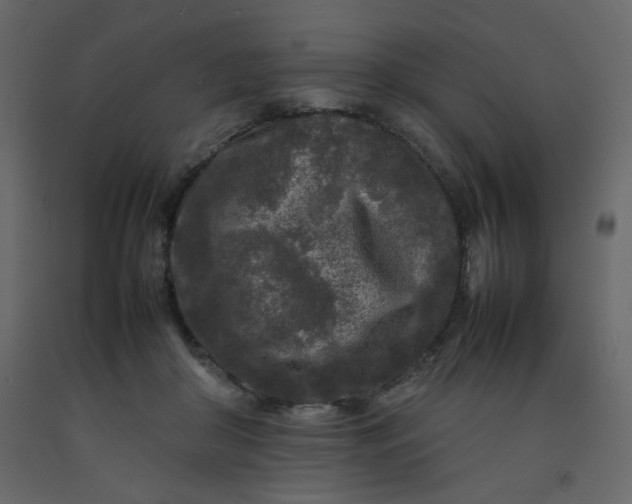 X0000092210410200710051141