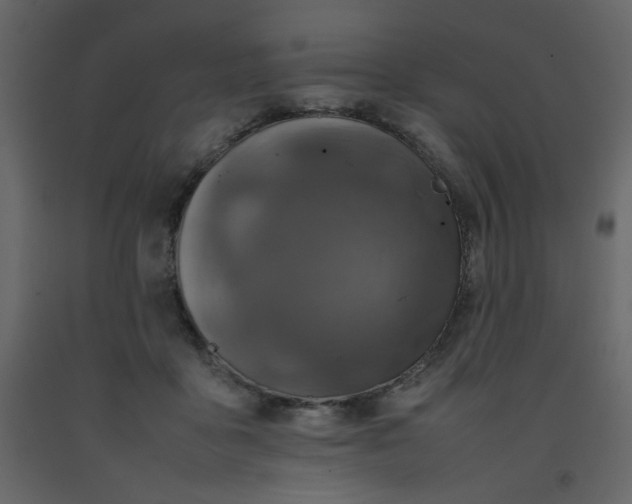 X0000092210411200710051141