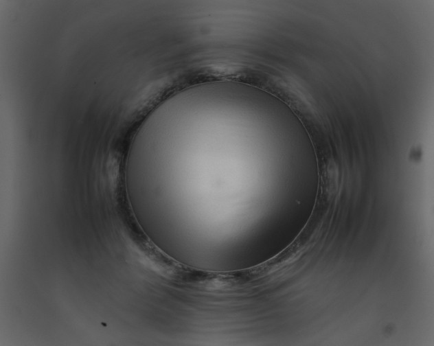 X0000092210412200710051141