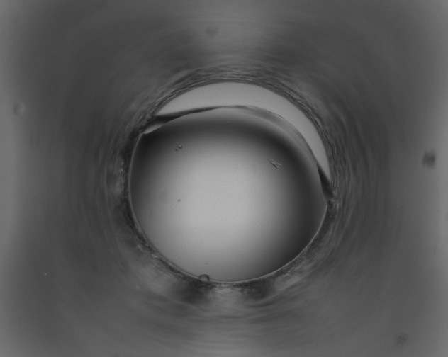 X0000092210413200710051141