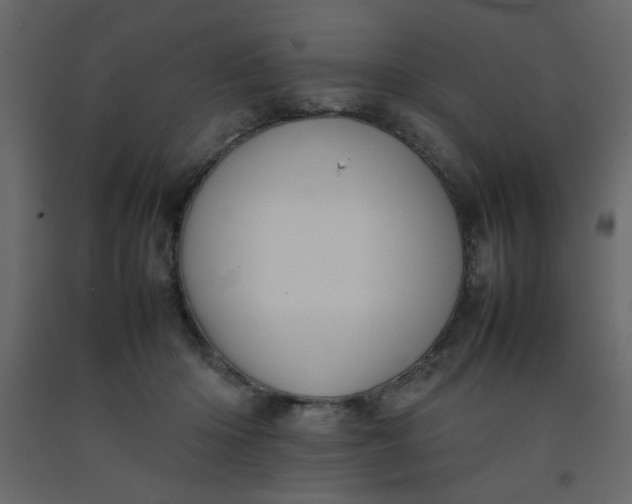 X0000092210414200710051141