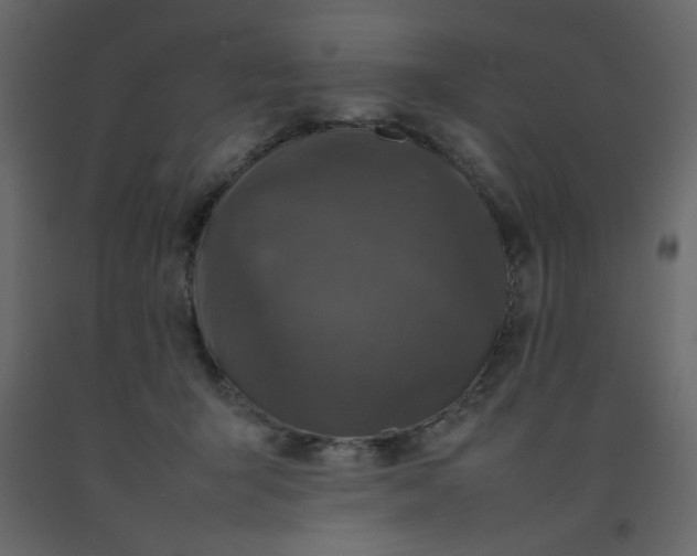 X0000092210415200710051141