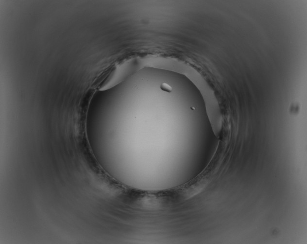 X0000092210416200710051141