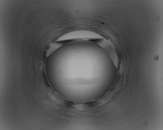 X0000092210417200710051141