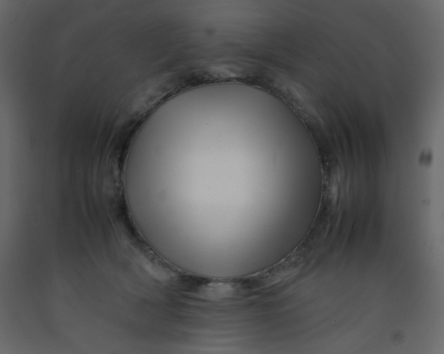 X0000092210418200710051141