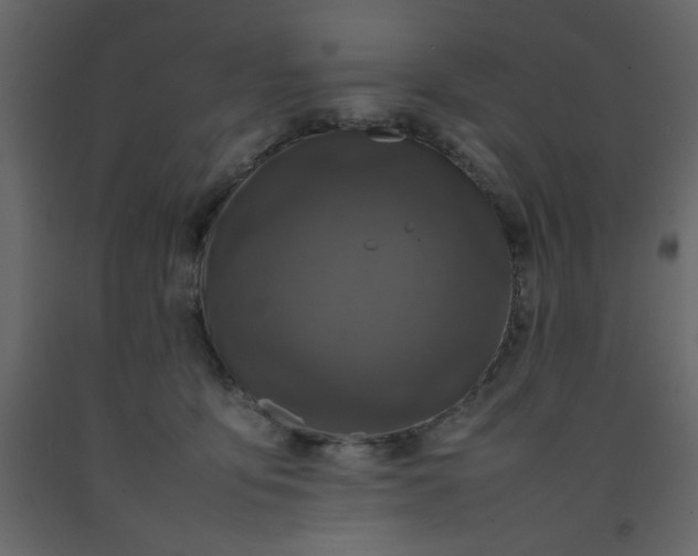 X0000092210419200710051141