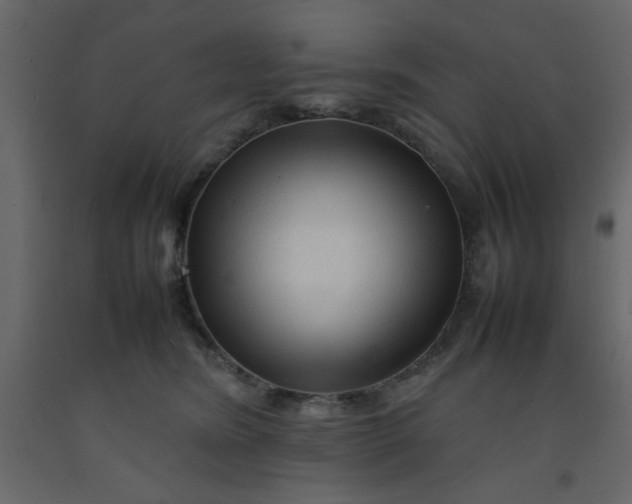 X0000092210420200710051141