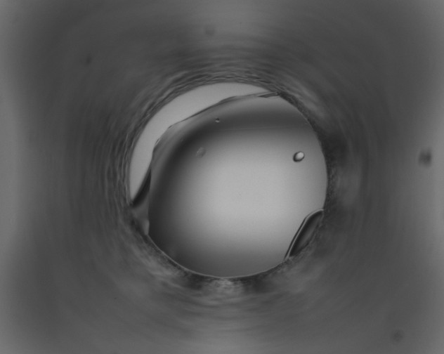 X0000092210421200710051141