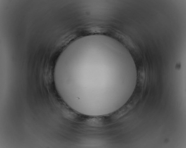 X0000092210422200710051141