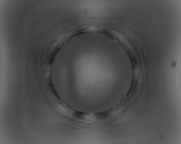 X0000092210423200710051141