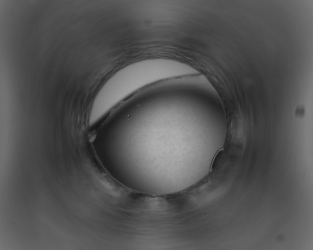 X0000092210424200710051141