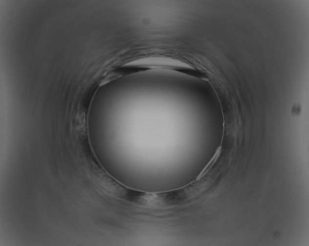 X0000092210425200710051141