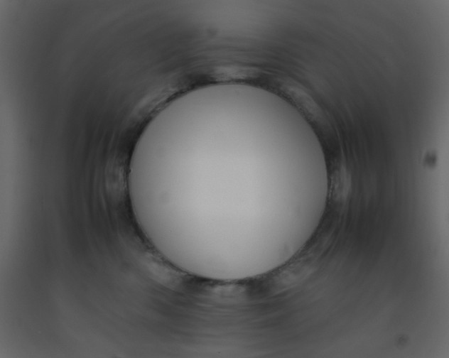 X0000092210426200710051141