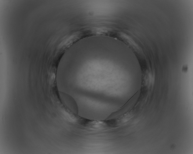 X0000092210427200710051141