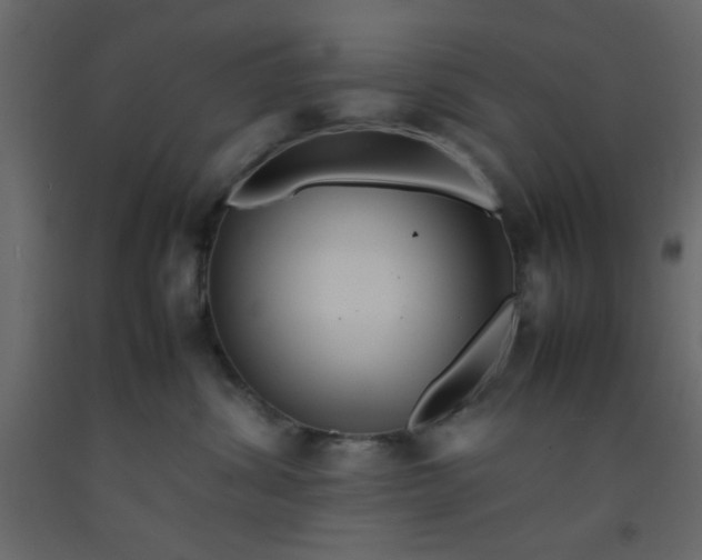 X0000092210428200710051141