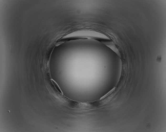 X0000092210429200710051141