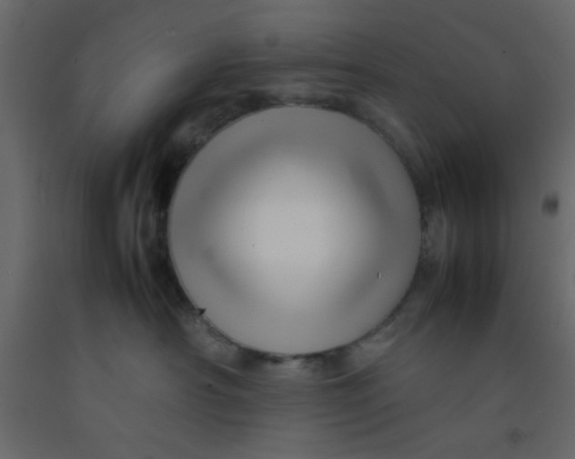 X0000092210430200710051141