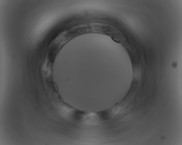 X0000092210431200710051141