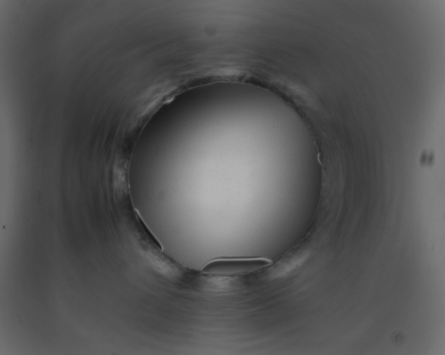 X0000092210432200710051141