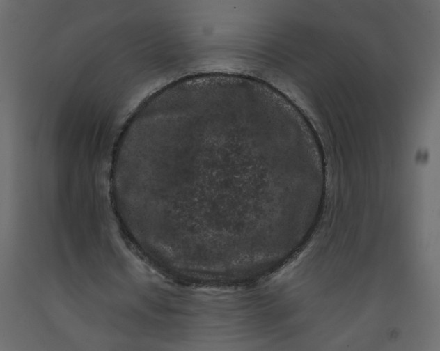 X0000092210434200710051140