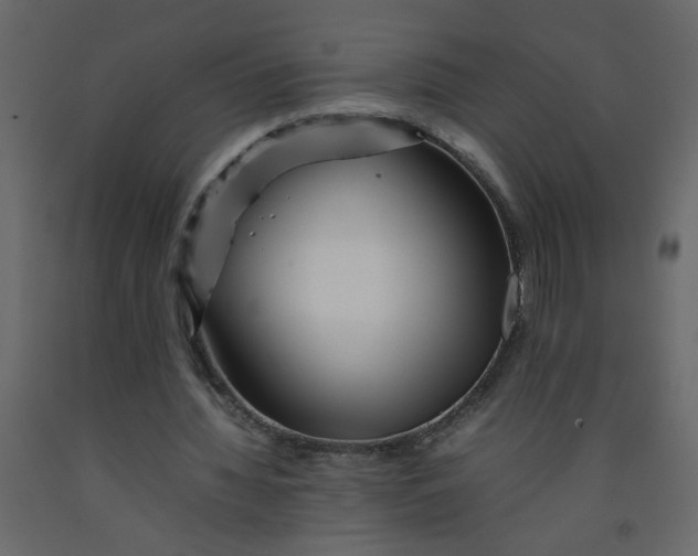 X0000092210436200710051140