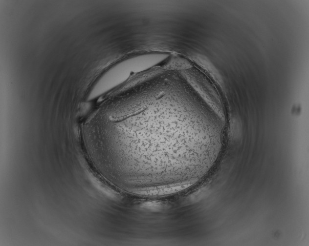 X0000092210441200710051140