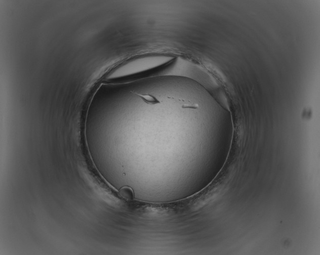 X0000092210442200710051140