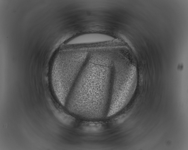 X0000092210443200710051140