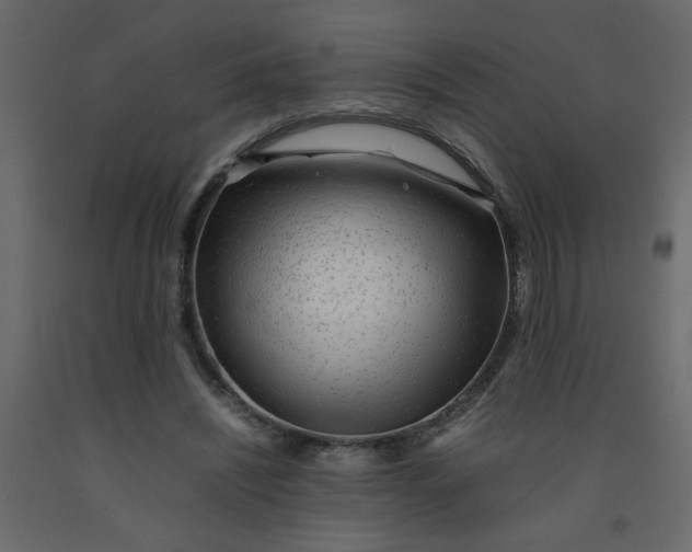 X0000092210444200710051140