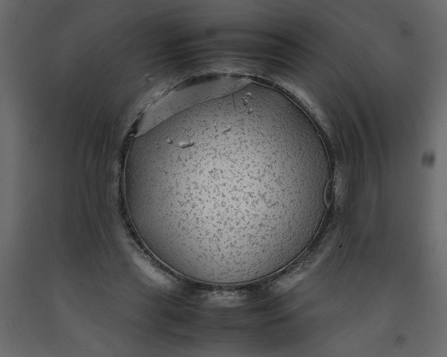 X0000092210445200710051140