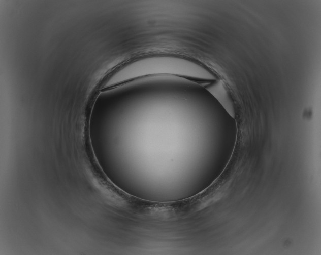 X0000092210446200710051140