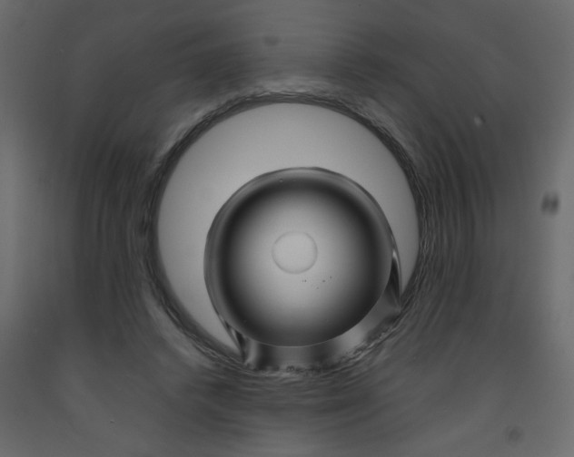 X0000092210448200710051140