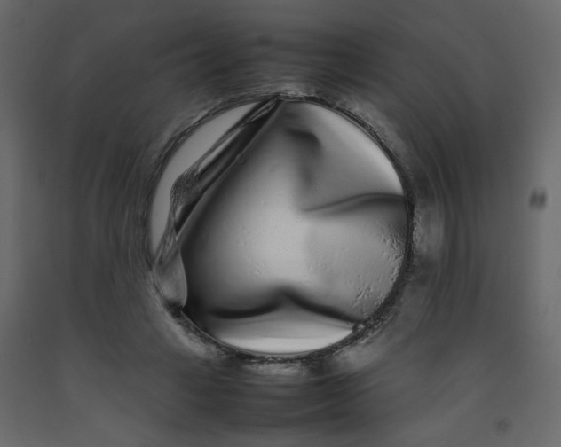 X0000092210449200710051140