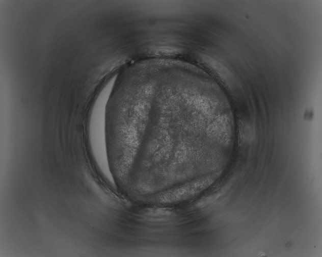 X0000092210451200710051140