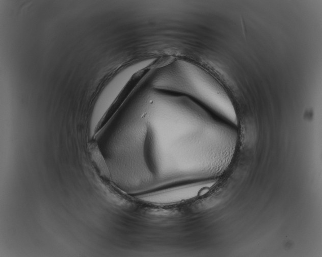 X0000092210453200710051140