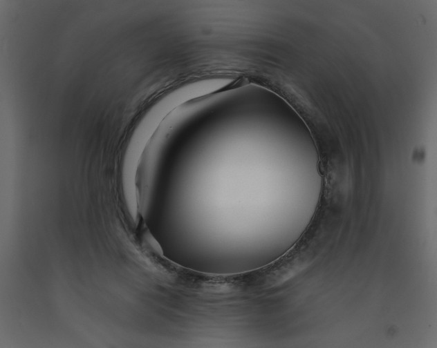 X0000092210454200710051140