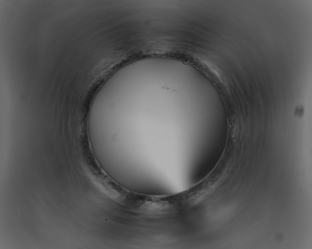 X0000092210455200710051140