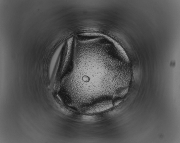 X0000092210457200710051140