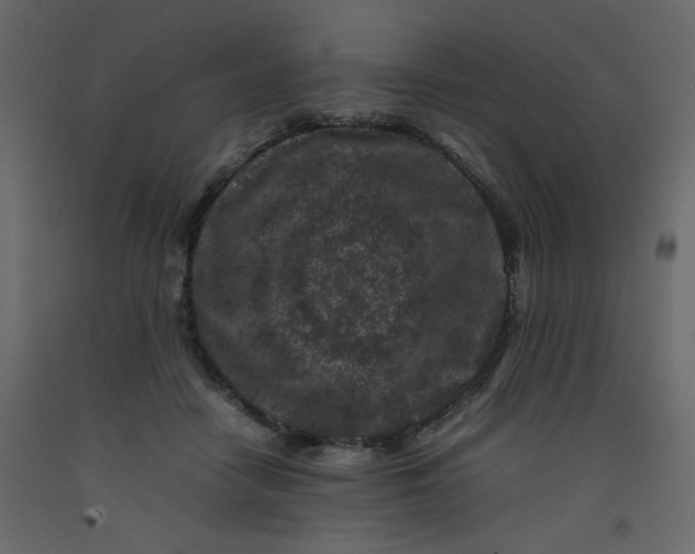 X0000092210458200710051140