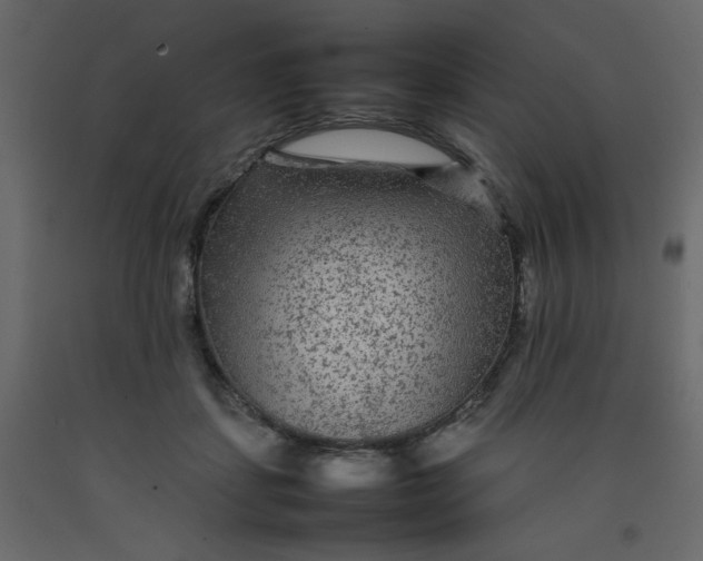 X0000092210459200710051140