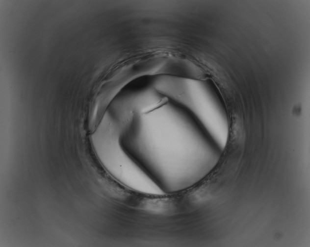 X0000092210461200710051140