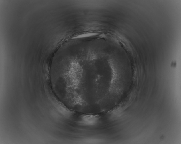 X0000092210465200710051140