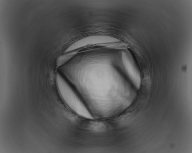 X0000092210469200710051140