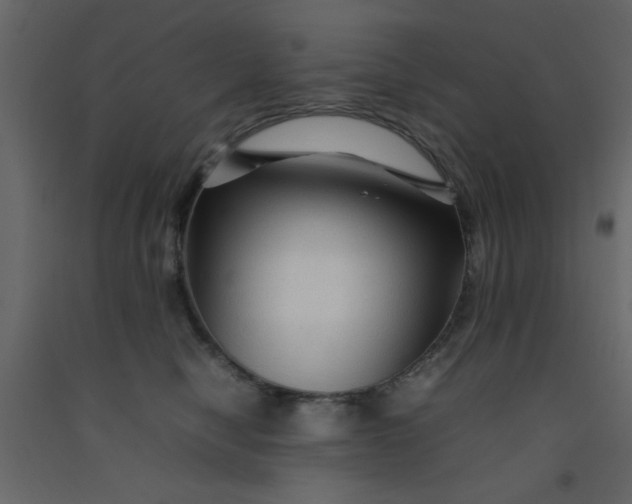 X0000092210470200710051140