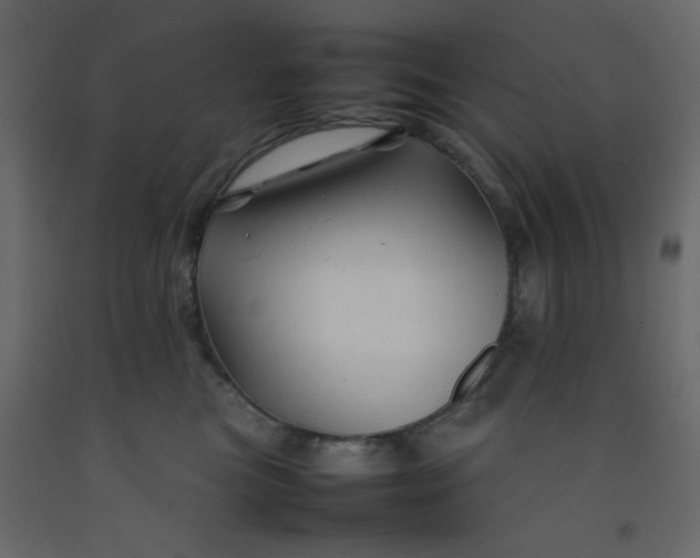 X0000092210473200710051141