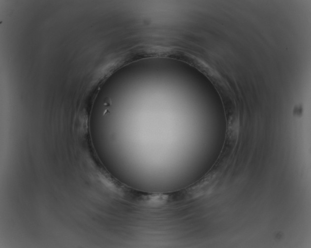 X0000092210474200710051141