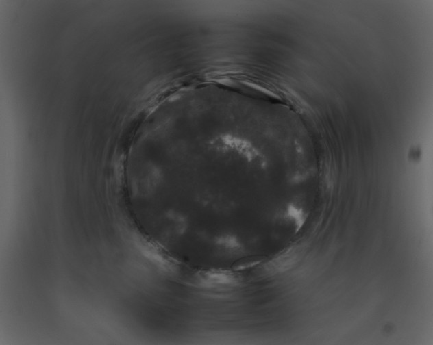 X0000092210475200710051141