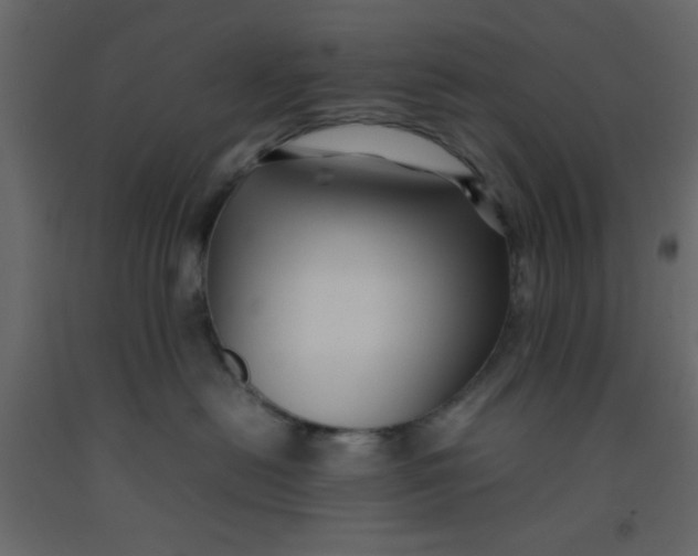 X0000092210478200710051141